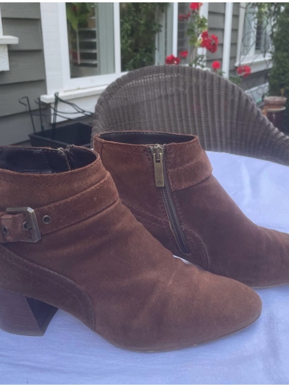 Aquatalia Brown Suede Ankle Booties with Side Zip and Buckle